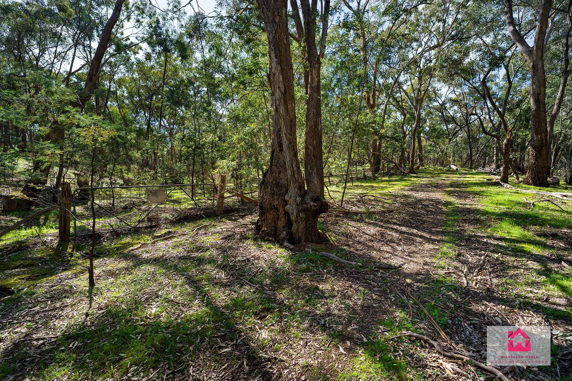 Lot 4 Jeffreys Lane, Harcourt For Sale by Farmbuy.com - image 5