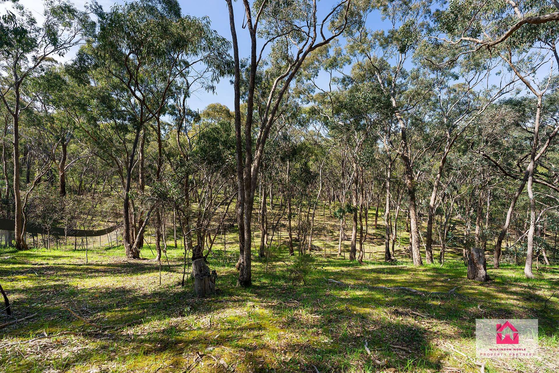 Lot 4 Jeffreys Lane, Harcourt For Sale by Farmbuy.com - image 4