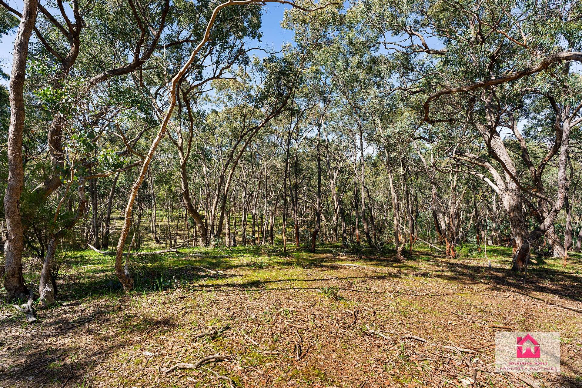 Lot 4 Jeffreys Lane, Harcourt For Sale by Farmbuy.com - image 6