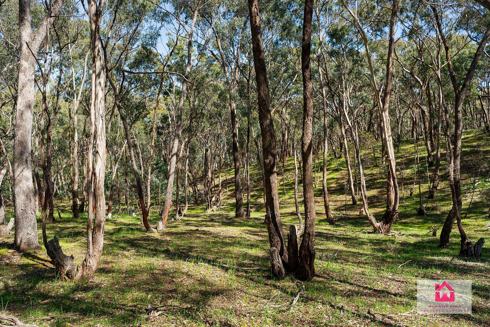 Lot 4 Jeffreys Lane, Harcourt For Sale by Farmbuy.com - image 2