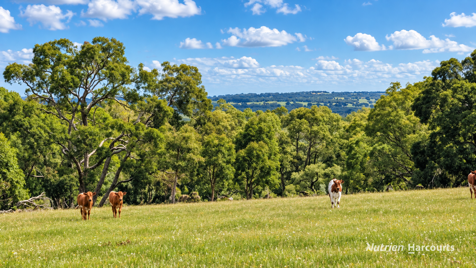 Lot 404 Red Gully Road, Mindarra For Sale by Farmbuy.com - image 19