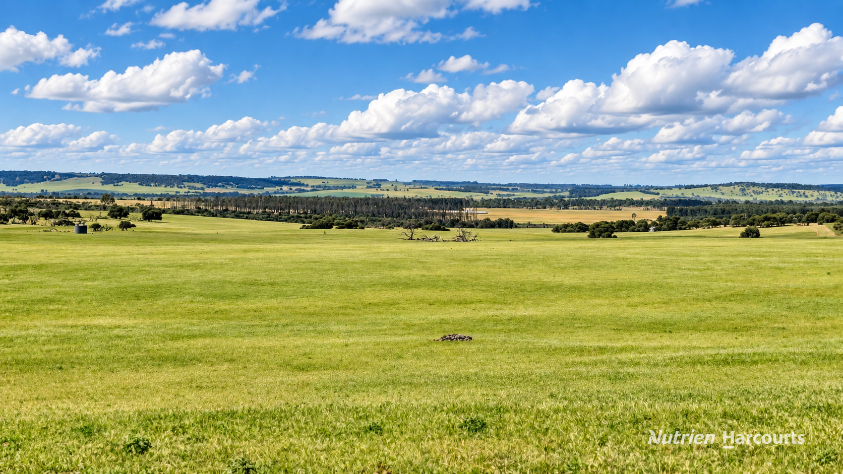 Lot 404 Red Gully Road, Mindarra For Sale by Farmbuy.com - image 20