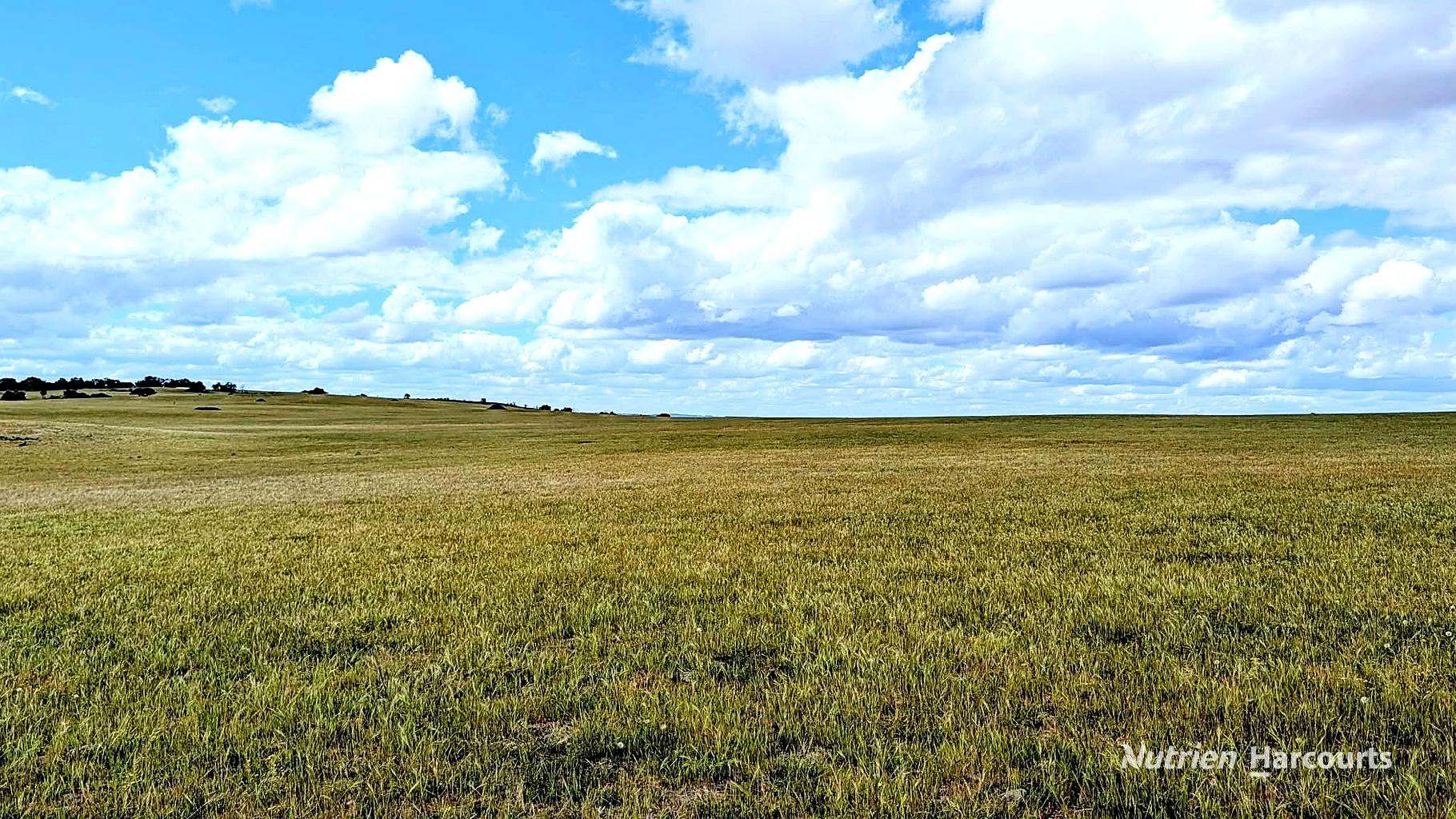 Lot 404 Red Gully Road, Mindarra For Sale by Farmbuy.com - image 15