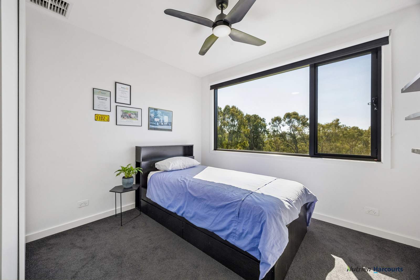 189 Grant Street, Alexandra For Sale by Farmbuy.com - image 15