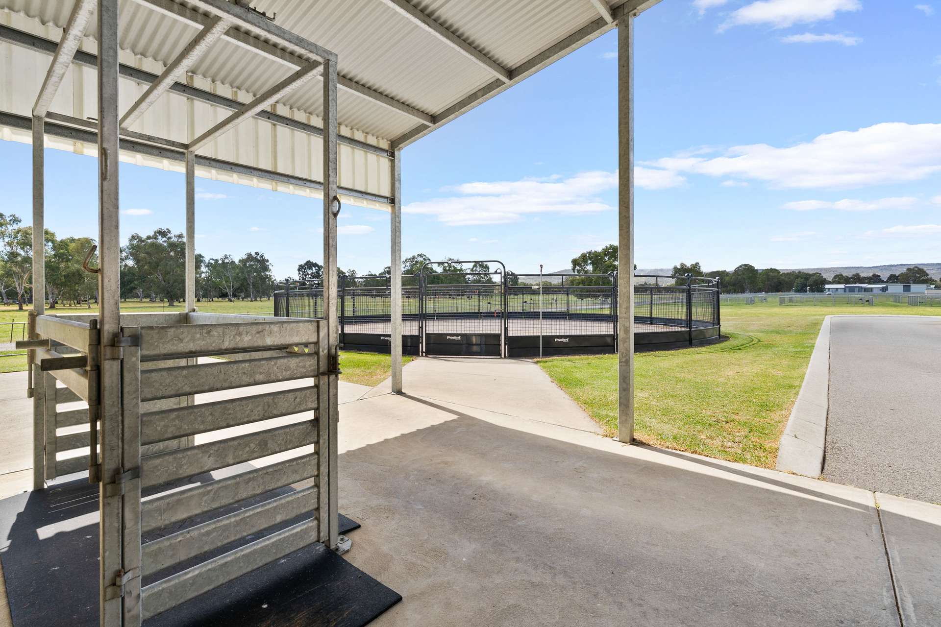 52 Lefroy Avenue, Herne Hill For Sale by Farmbuy.com - image 12