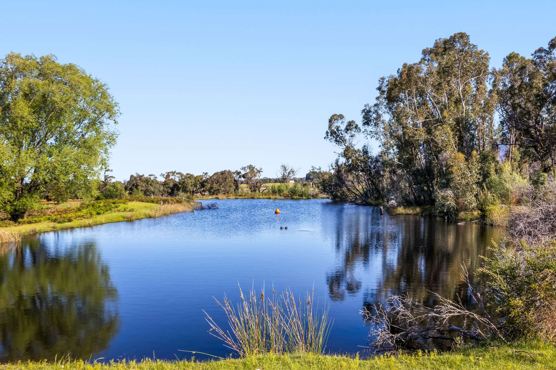 63 Waterhole Road, Pomonal For Sale by Farmbuy.com - image 32