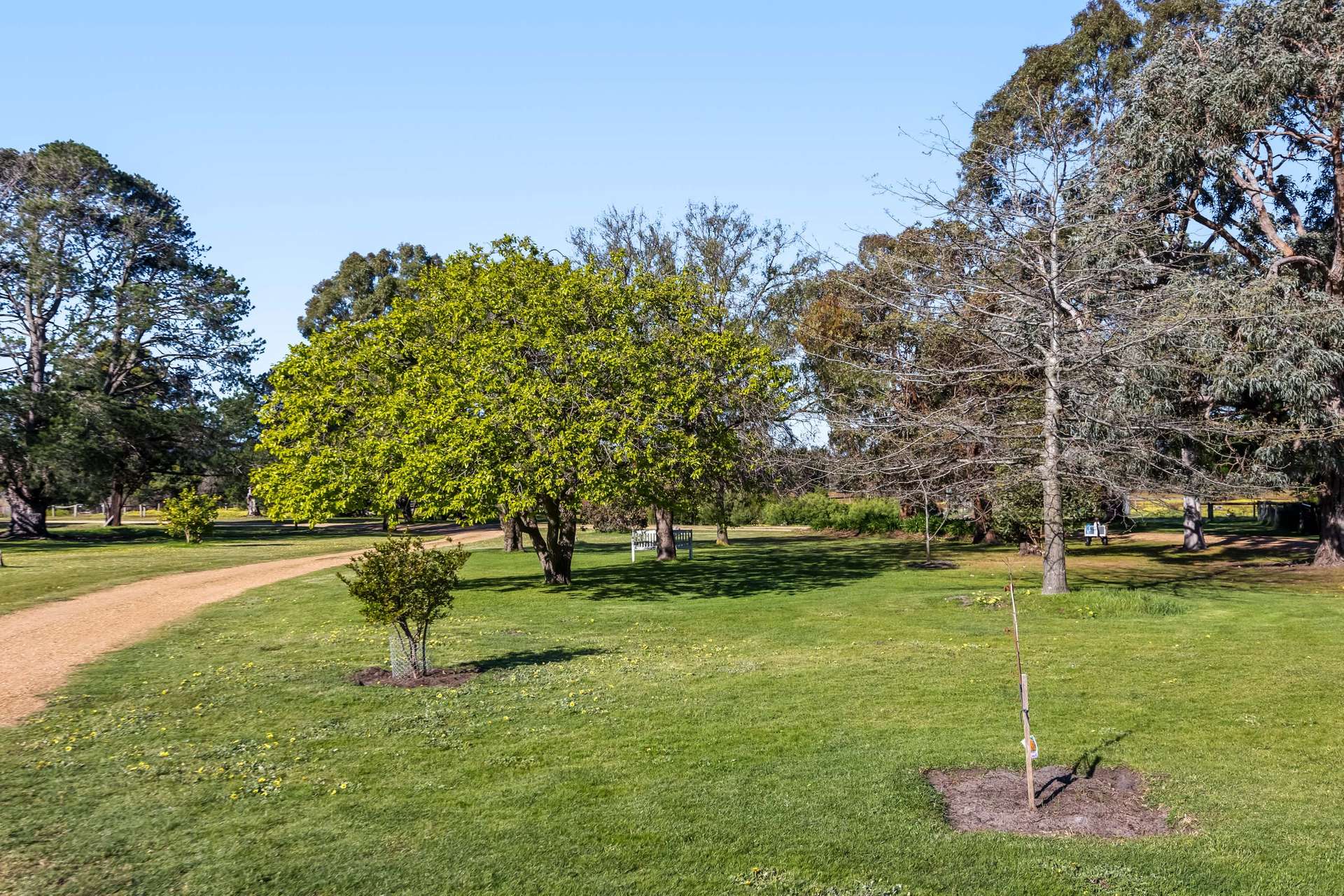 63 Waterhole Road, Pomonal For Sale by Farmbuy.com - image 24