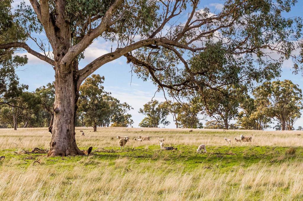 494 Carmody Road, Muskerry VIC 3557