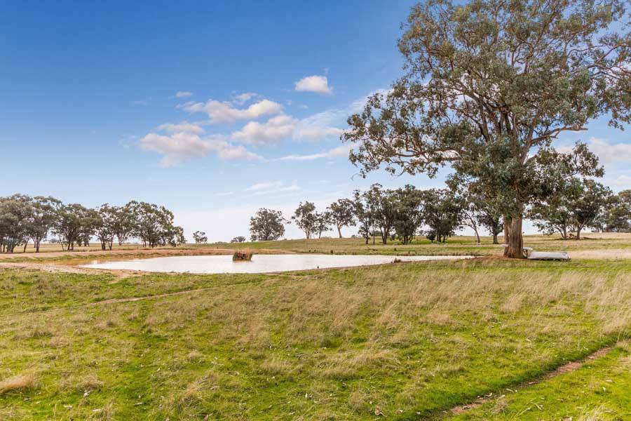 494 Carmody Road, Muskerry For Sale by Farmbuy.com - image 6