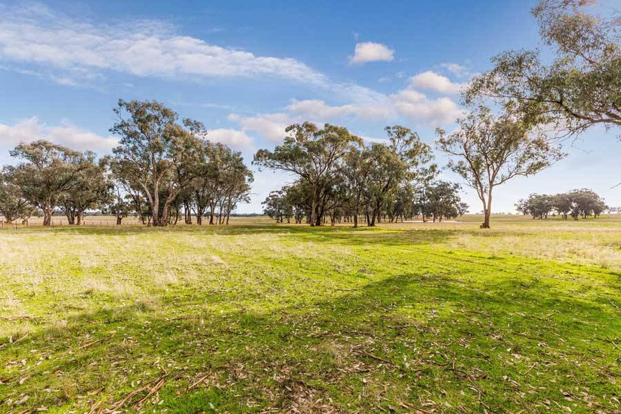 494 Carmody Road, Muskerry For Sale by Farmbuy.com - image 7