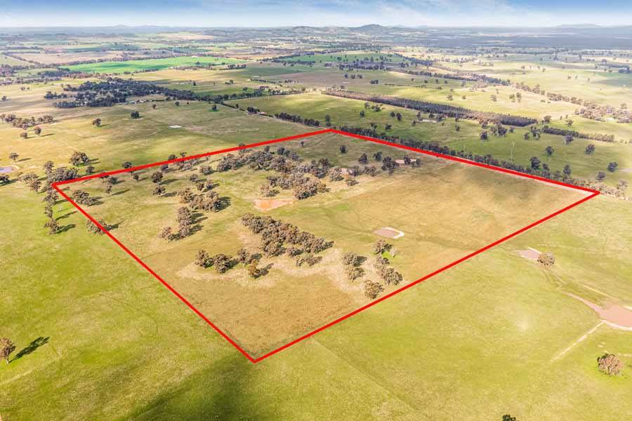 494 Carmody Road, Muskerry For Sale by Farmbuy.com - image 9