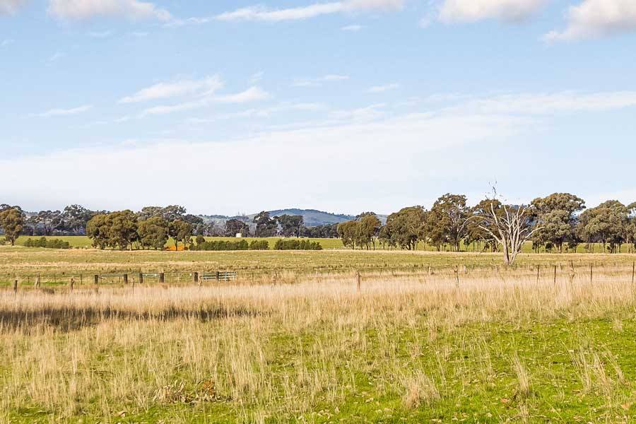 494 Carmody Road, Muskerry For Sale by Farmbuy.com - image 8