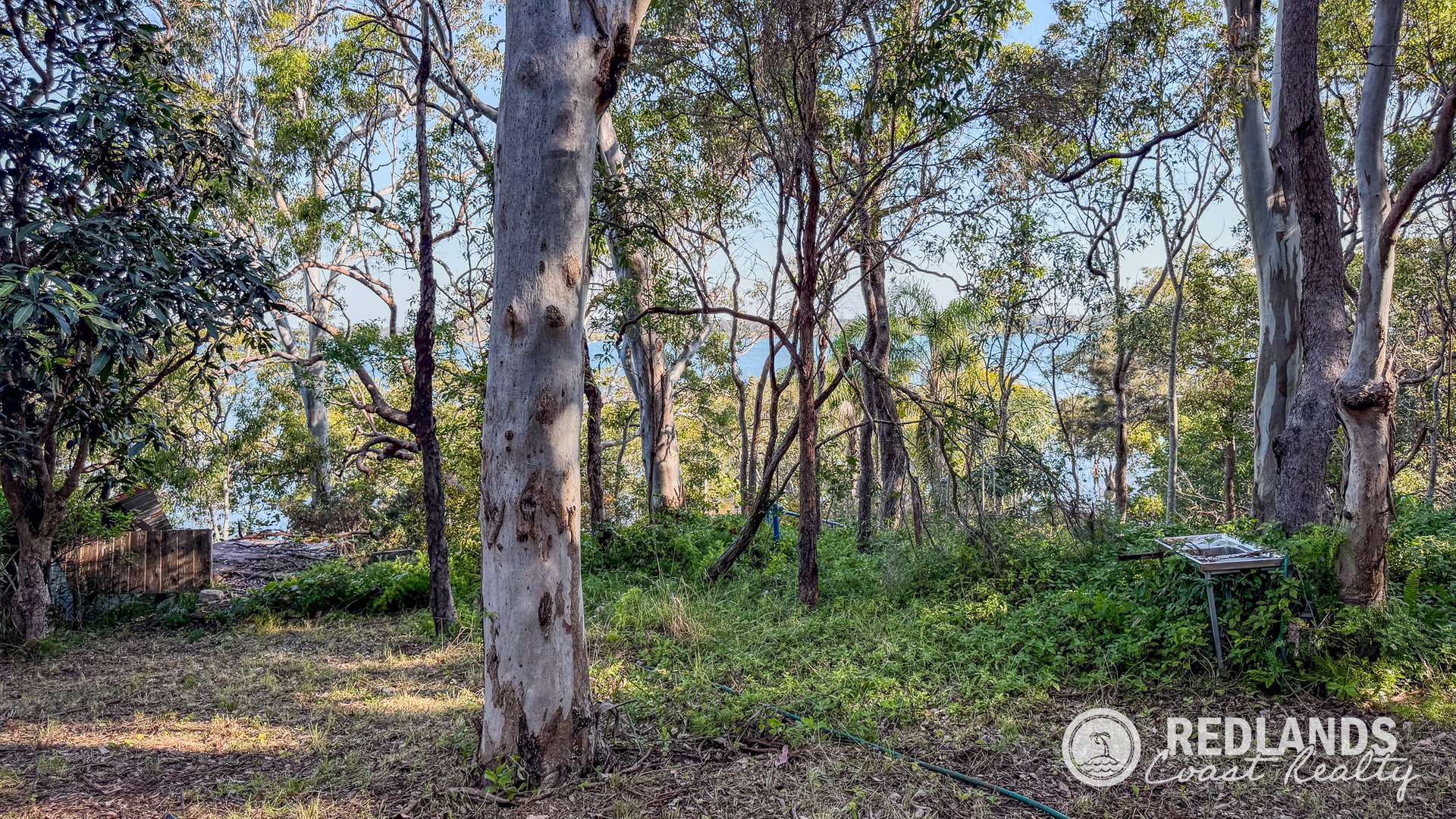 109-123 Lucas Drive, Lamb Island For Sale by Farmbuy.com - image 15