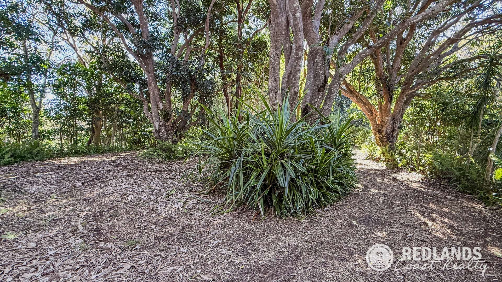 109-123 Lucas Drive, Lamb Island For Sale by Farmbuy.com - image 22