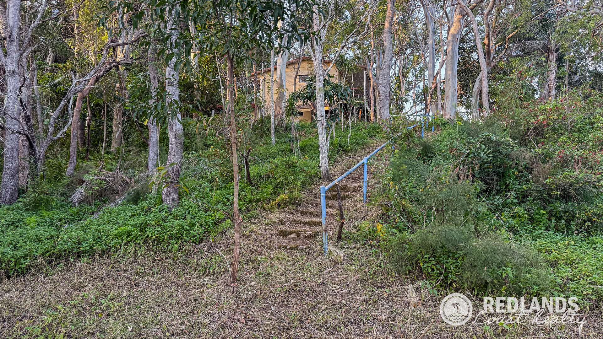 109-123 Lucas Drive, Lamb Island For Sale by Farmbuy.com - image 34