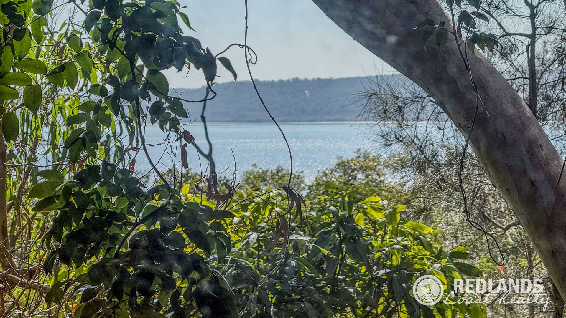109-123 Lucas Drive, Lamb Island For Sale by Farmbuy.com - image 28