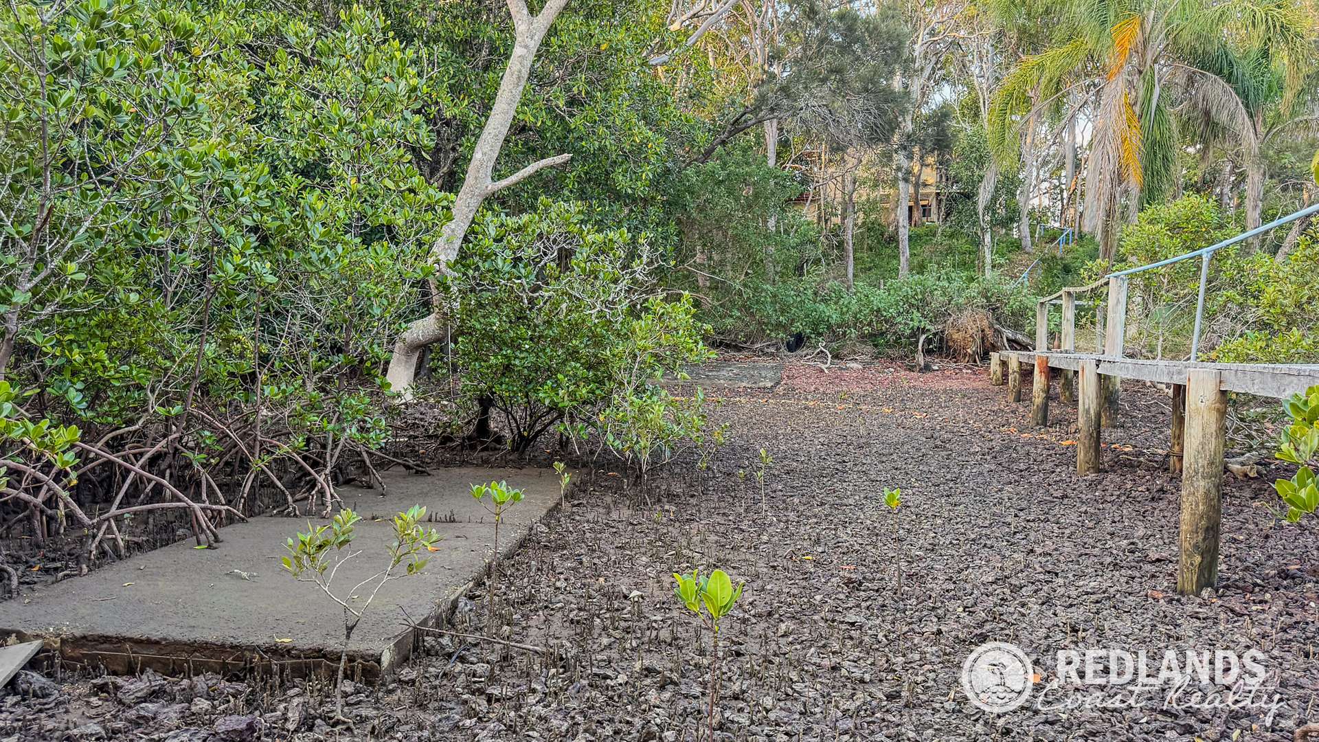109-123 Lucas Drive, Lamb Island For Sale by Farmbuy.com - image 35