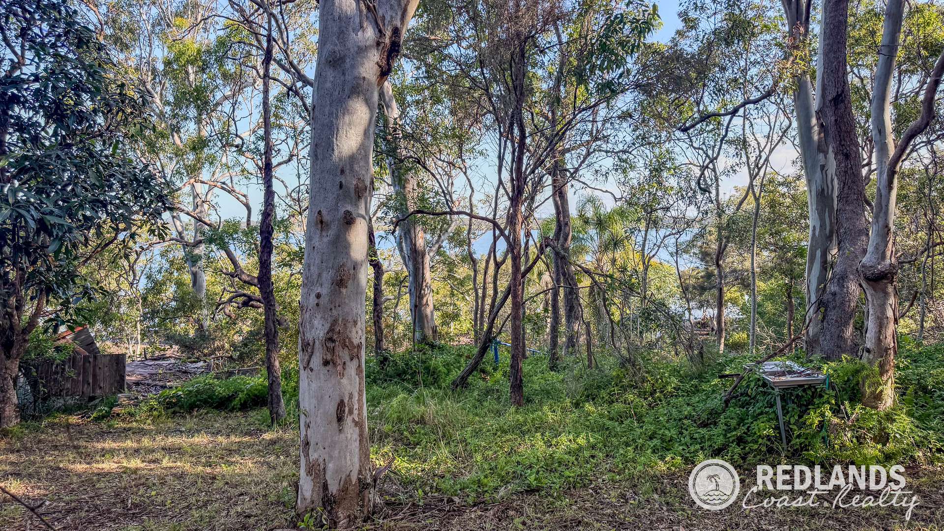 109-123 Lucas Drive, Lamb Island For Sale by Farmbuy.com - image 31