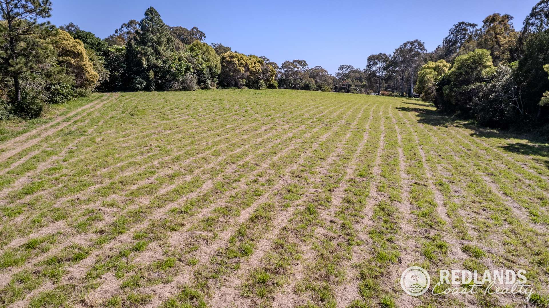 109-123 Lucas Drive, Lamb Island For Sale by Farmbuy.com - image 11