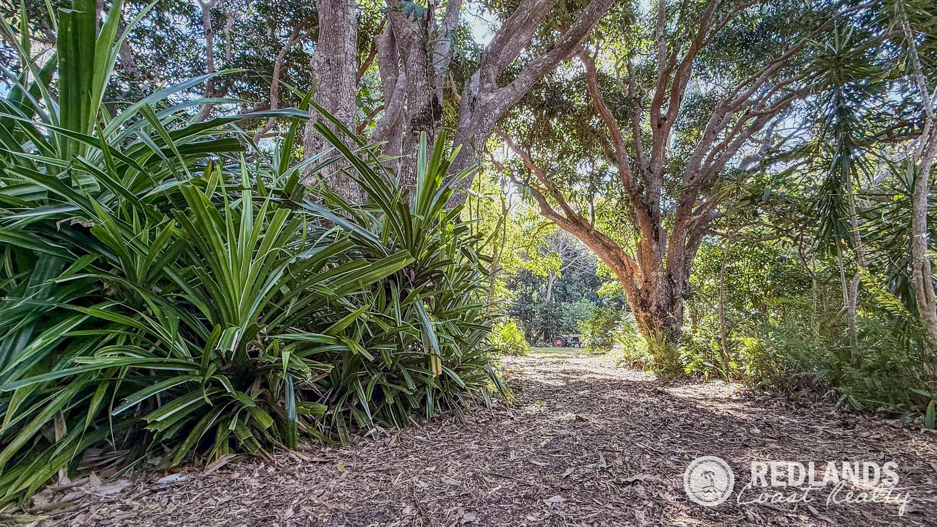 109-123 Lucas Drive, Lamb Island For Sale by Farmbuy.com - image 21