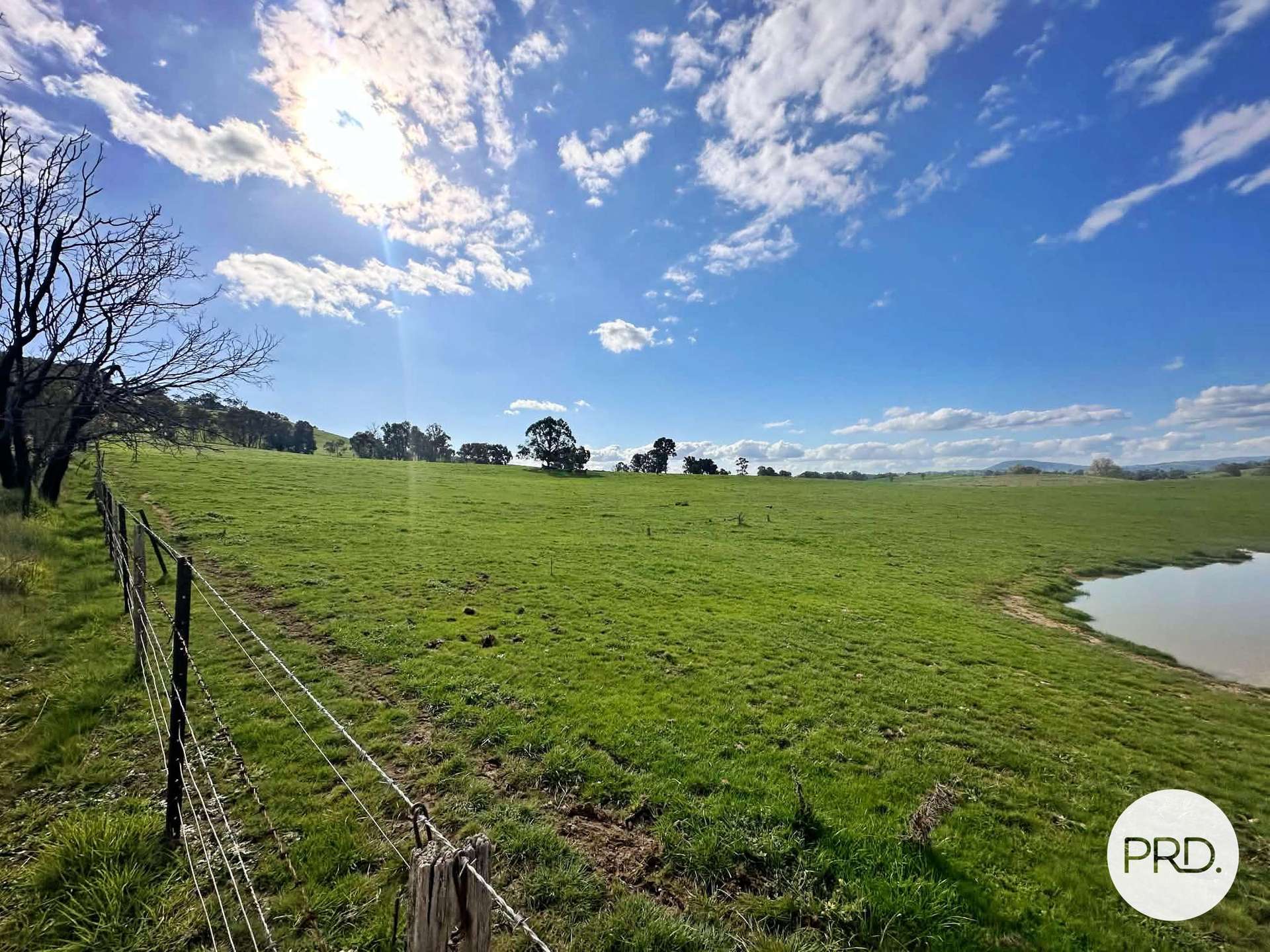 B//DP382268 Murrays Crossing Road, Tumbarumba For Sale by Farmbuy.com - image 12