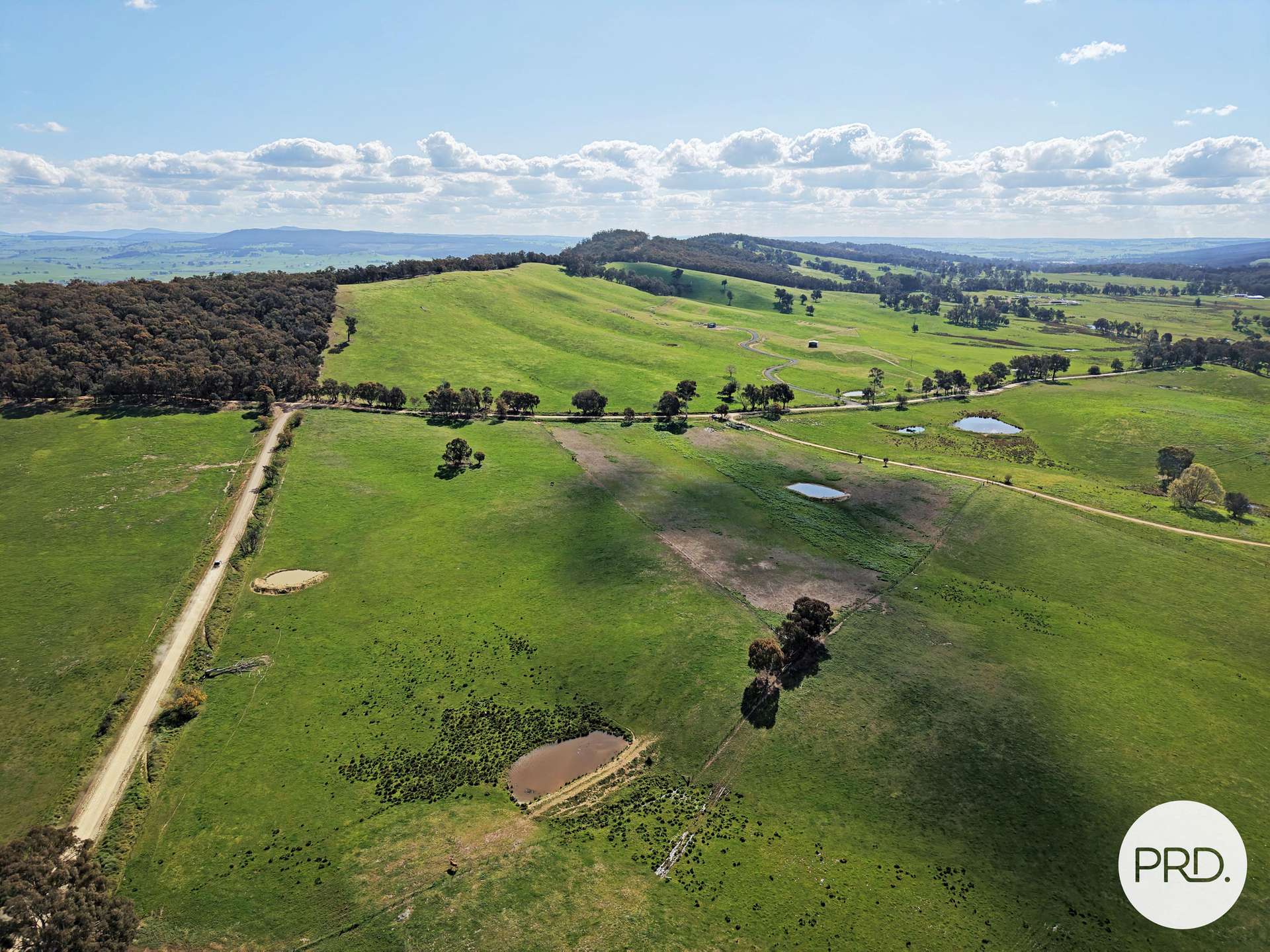 B//DP382268 Murrays Crossing Road, Tumbarumba For Sale by Farmbuy.com - image 7
