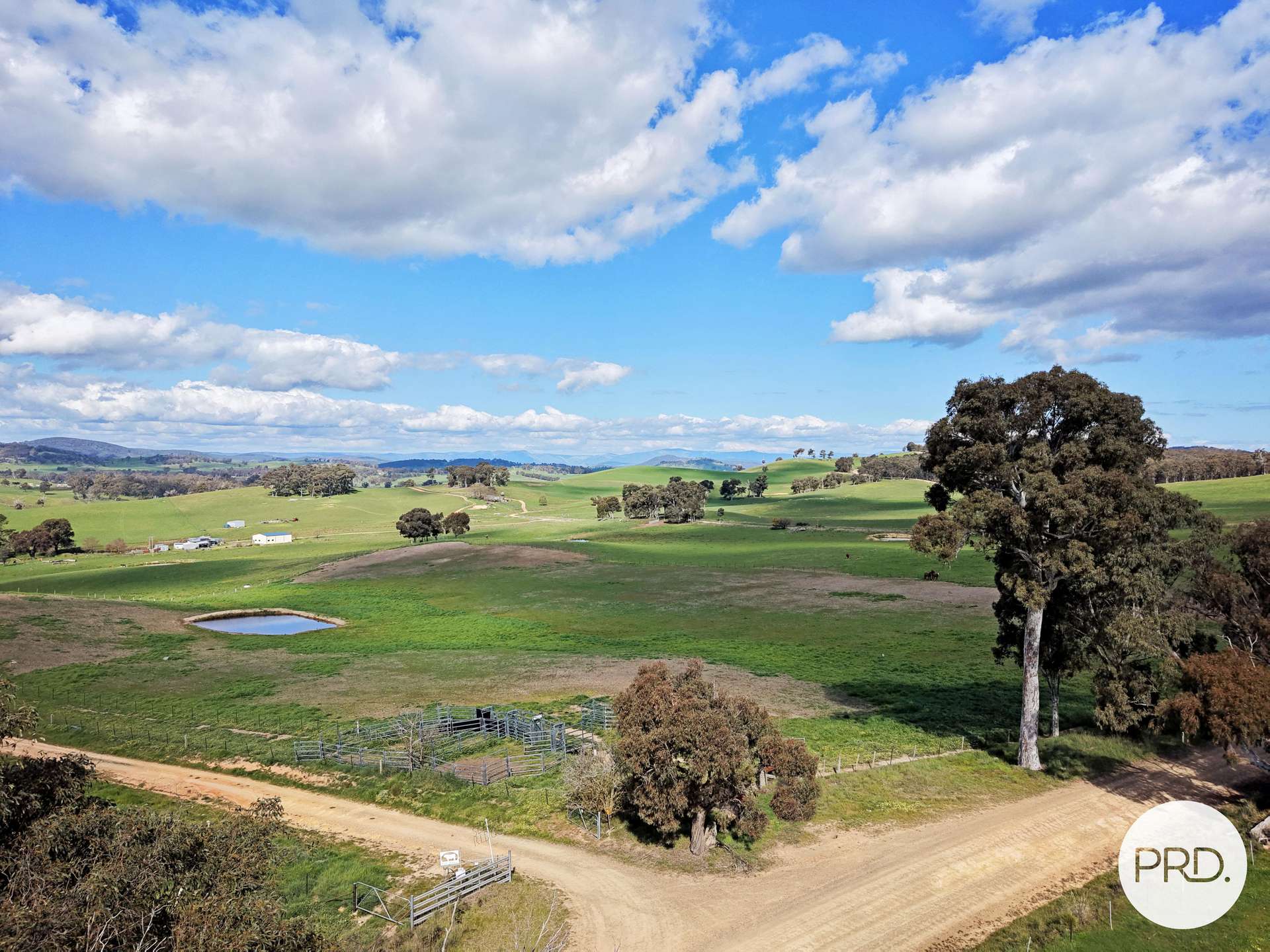 B//DP382268 Murrays Crossing Road, Tumbarumba For Sale by Farmbuy.com - image 9