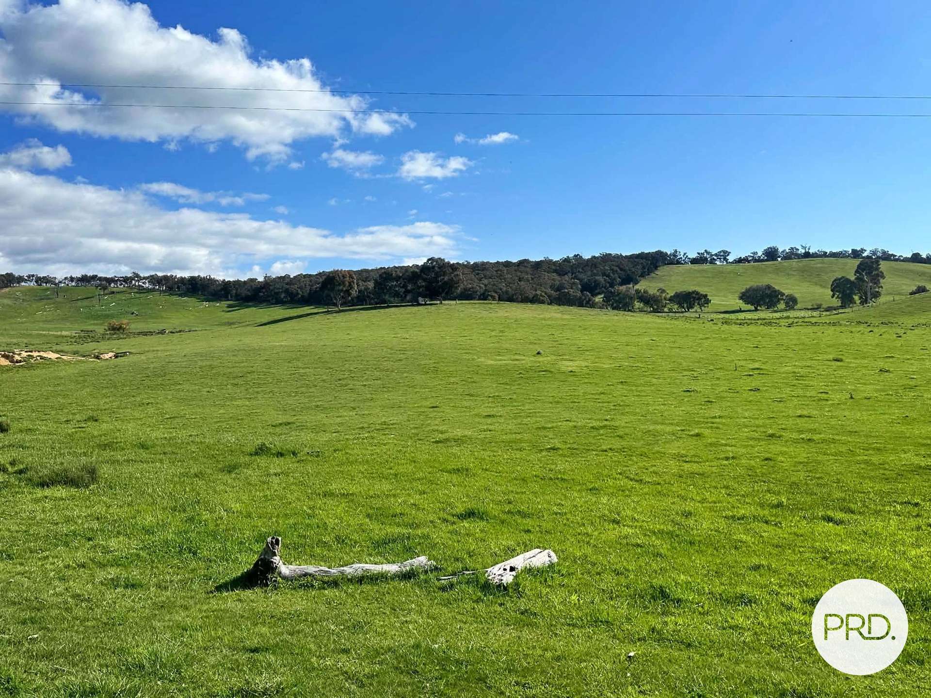 B//DP382268 Murrays Crossing Road, Tumbarumba For Sale by Farmbuy.com - image 4