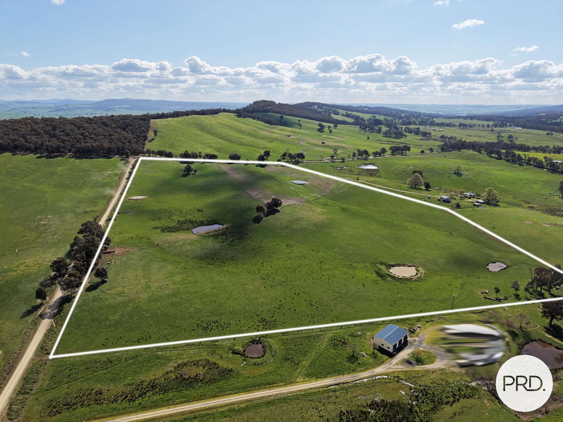 B//DP382268 Murrays Crossing Road, Tumbarumba For Sale by Farmbuy.com - image 2