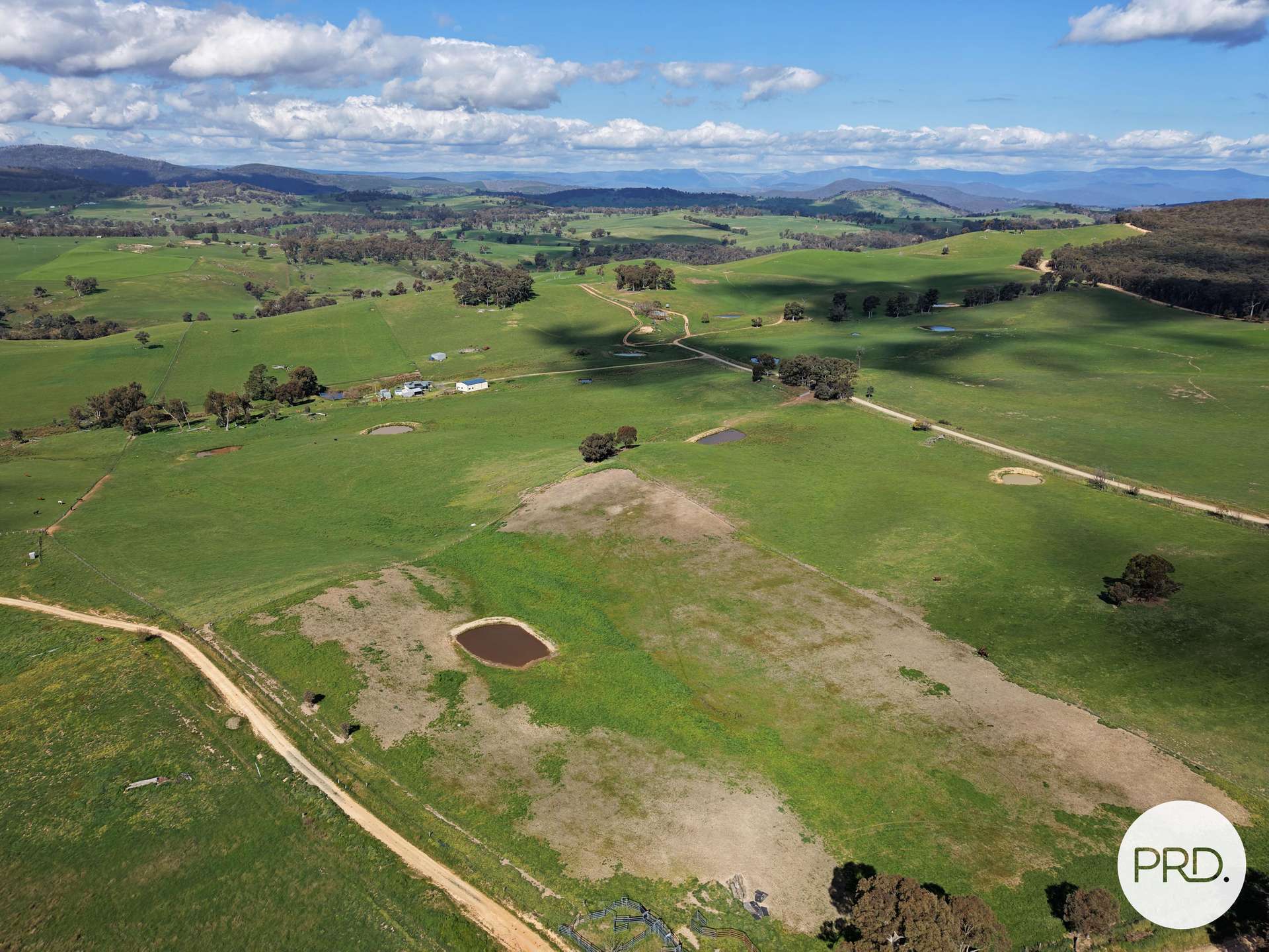 B//DP382268 Murrays Crossing Road, Tumbarumba For Sale by Farmbuy.com - image 13
