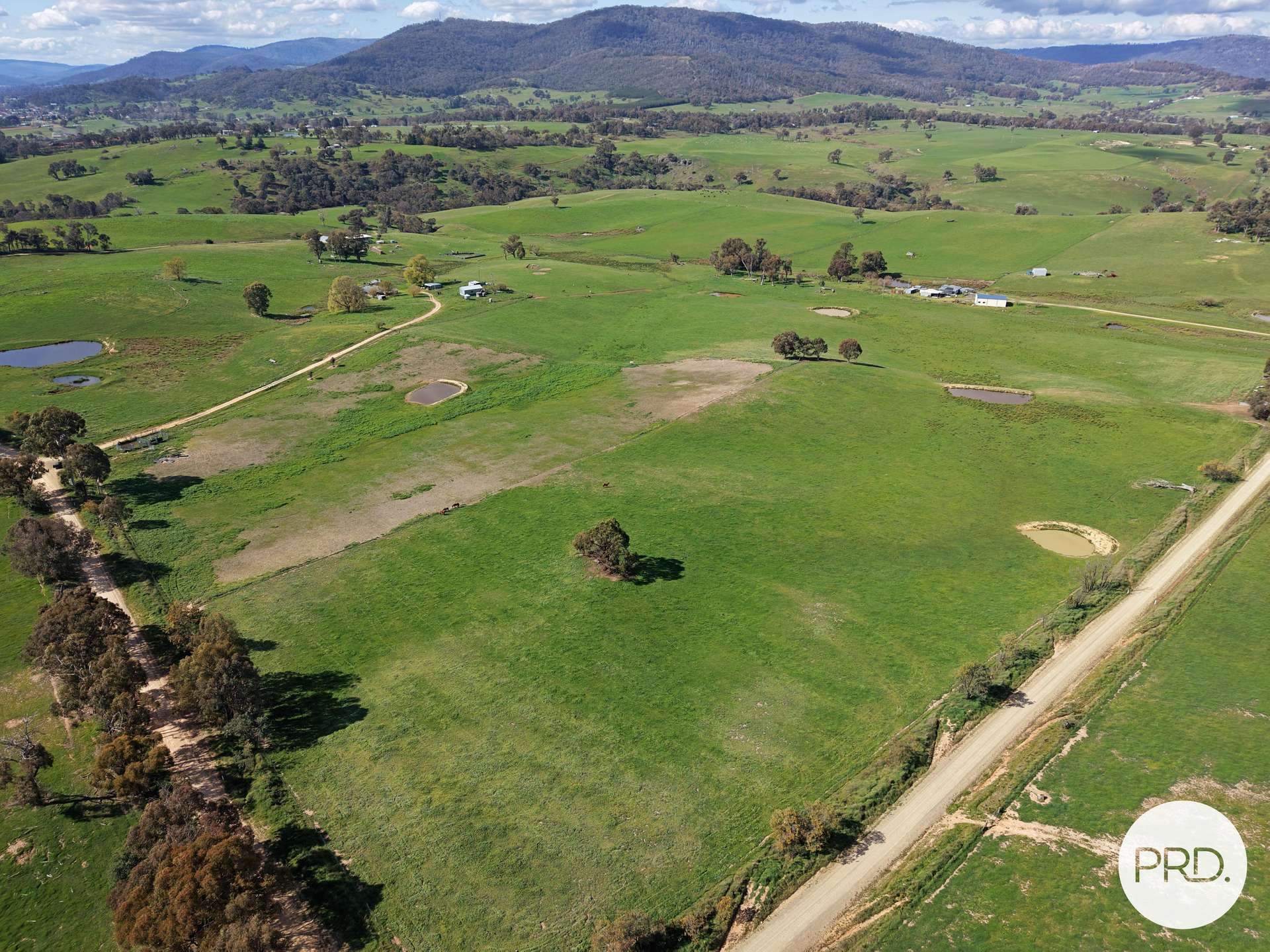 B//DP382268 Murrays Crossing Road, Tumbarumba For Sale by Farmbuy.com - image 6
