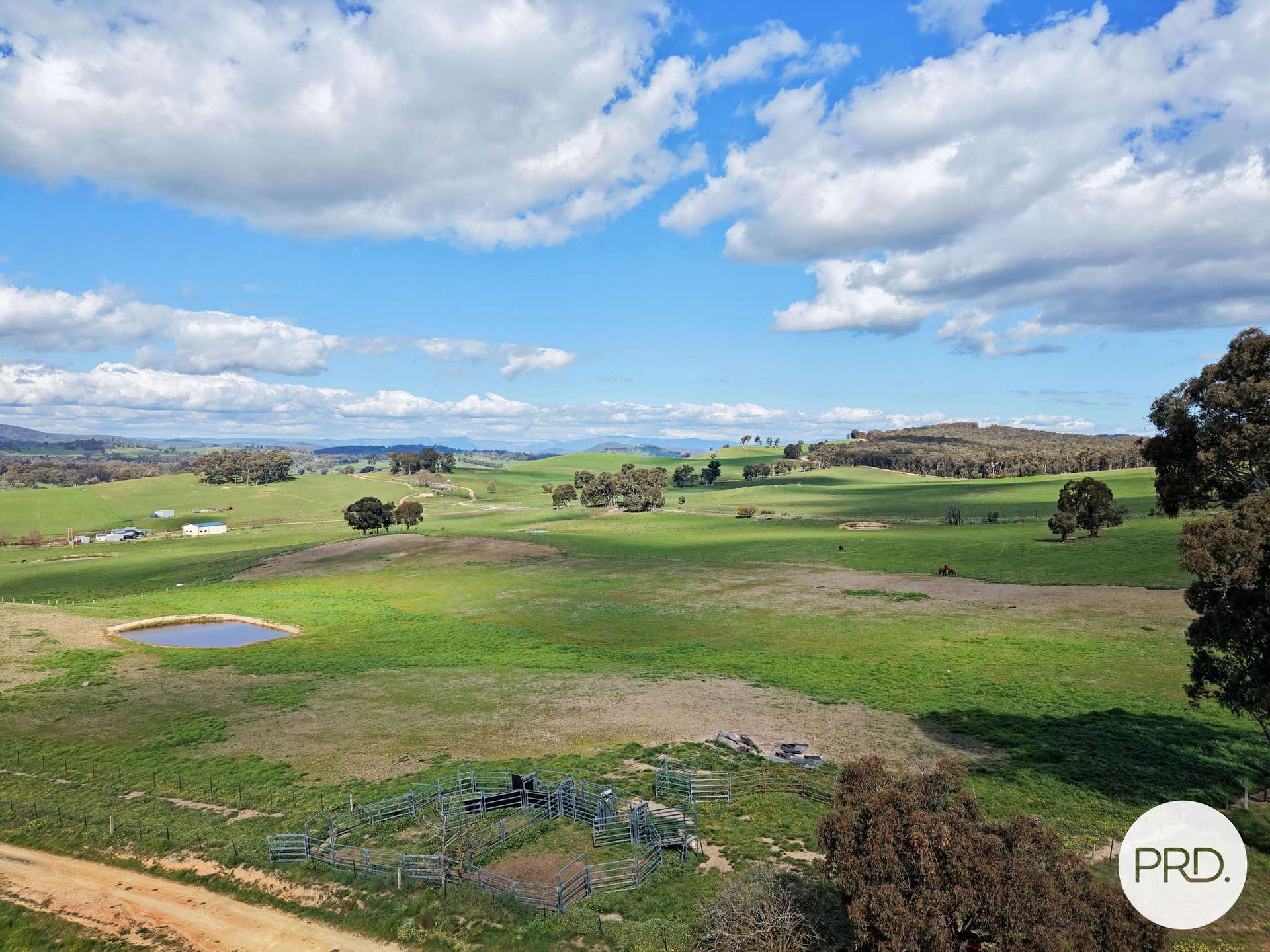 B//DP382268 Murrays Crossing Road, Tumbarumba For Sale by Farmbuy.com - image 10