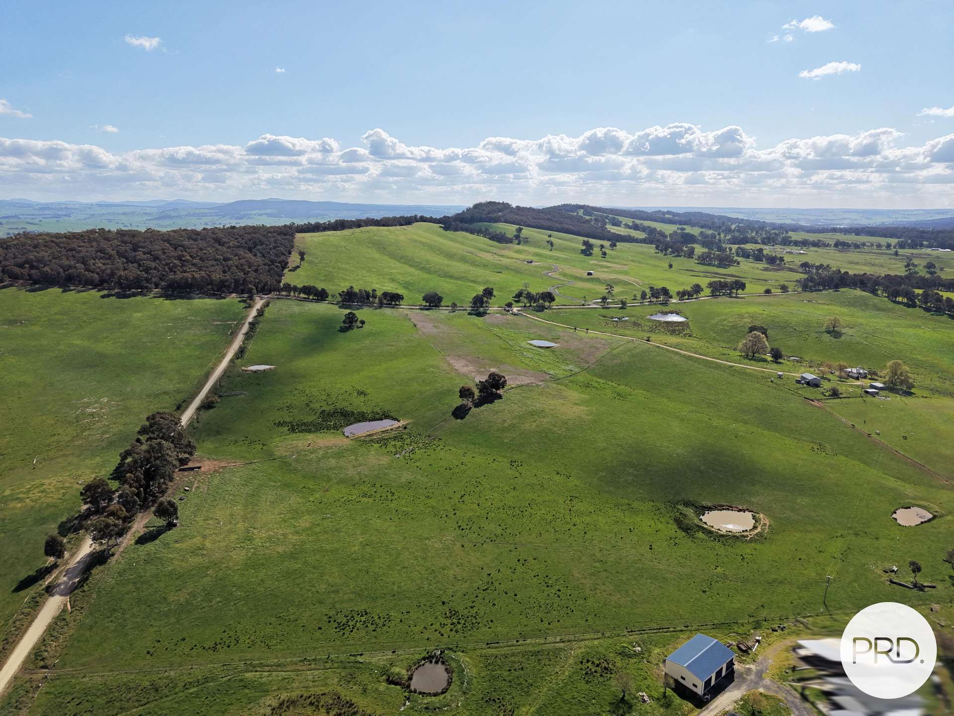 B//DP382268 Murrays Crossing Road, Tumbarumba For Sale by Farmbuy.com - image 3