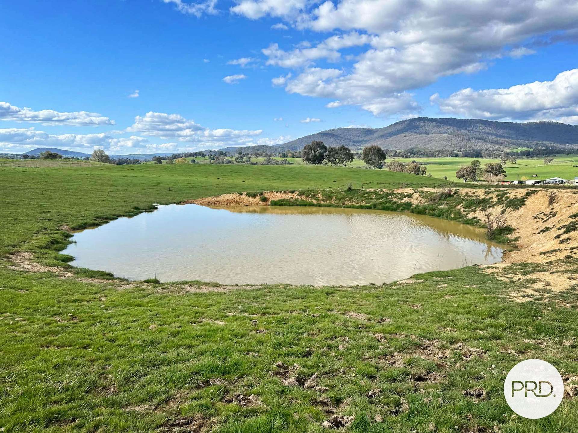 B//DP382268 Murrays Crossing Road, Tumbarumba For Sale by Farmbuy.com - image 5