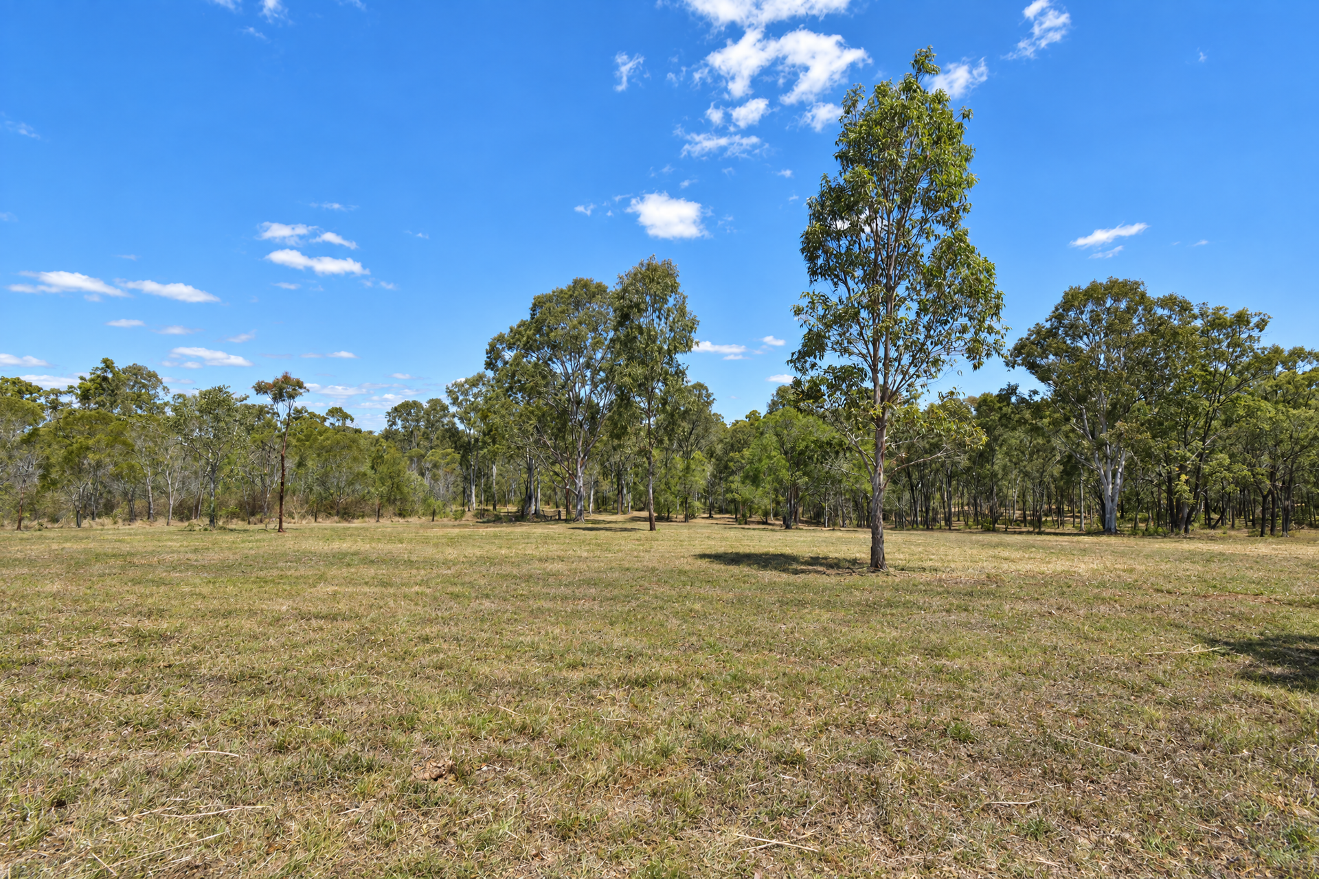 Lot 14, 237 Stocks Road, Apple Tree Creek For Sale by Farmbuy.com - image 5