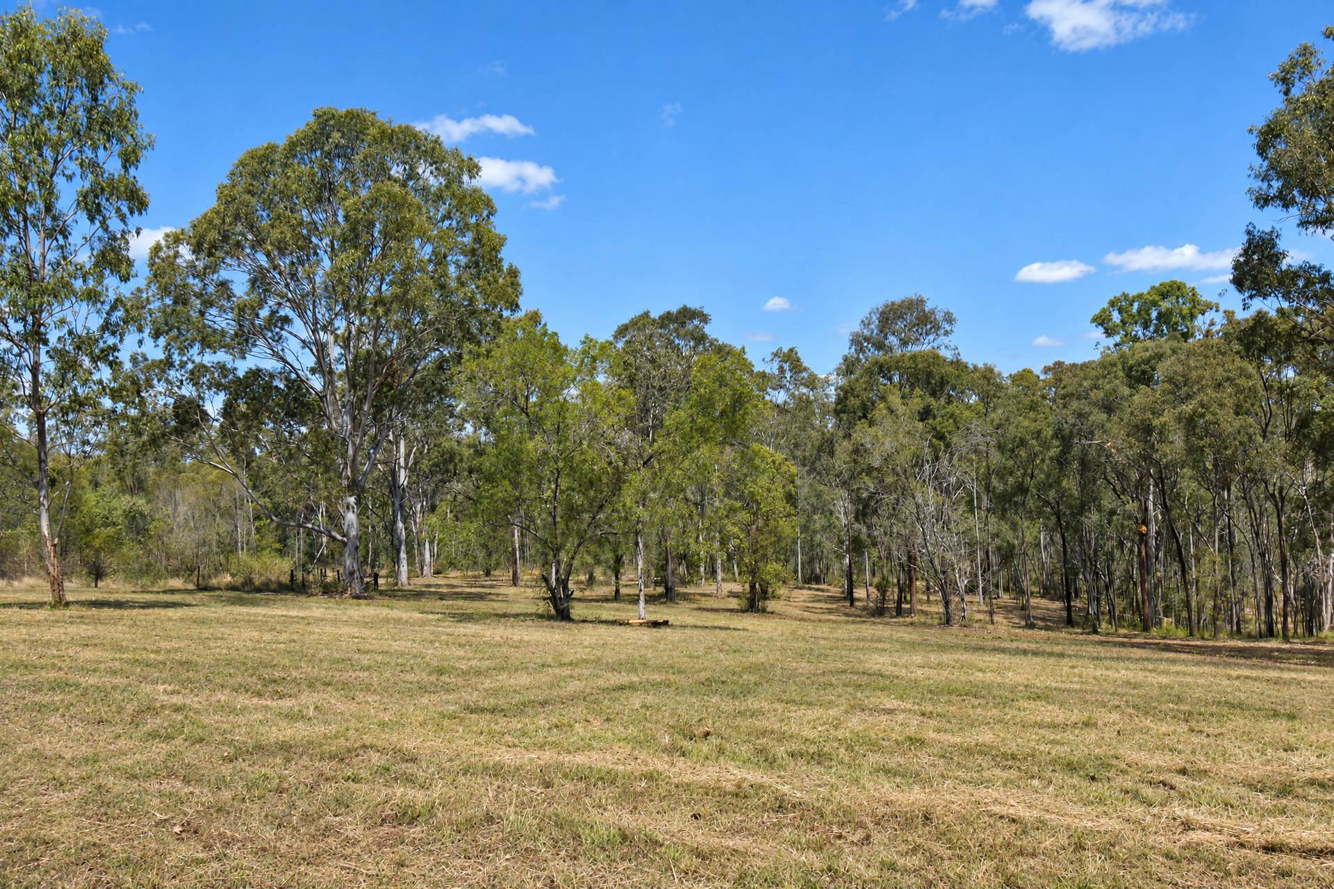 Lot 14, 237 Stocks Road, Apple Tree Creek For Sale by Farmbuy.com - image 7