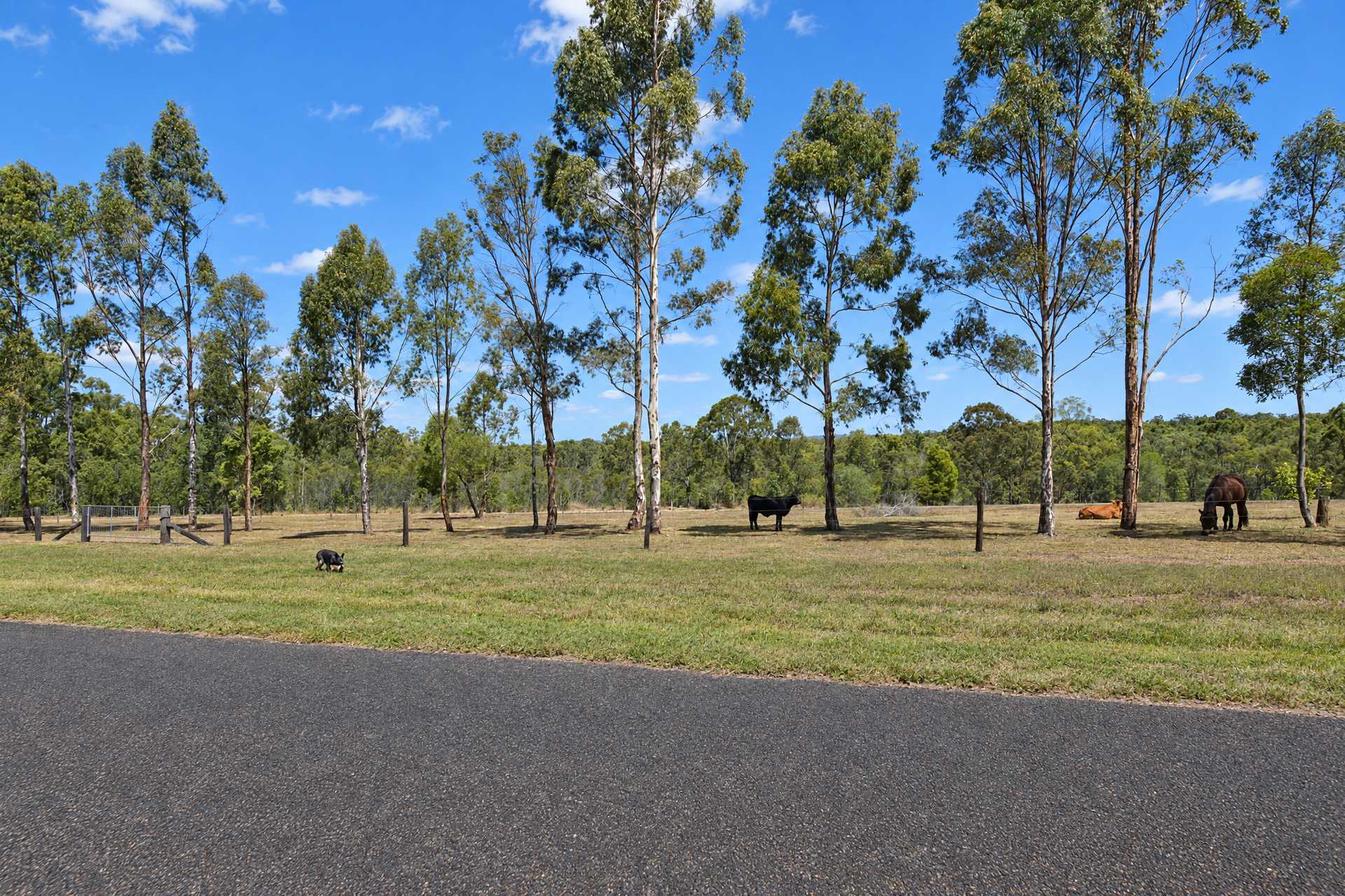 Lot 14, 237 Stocks Road, Apple Tree Creek For Sale by Farmbuy.com - image 9