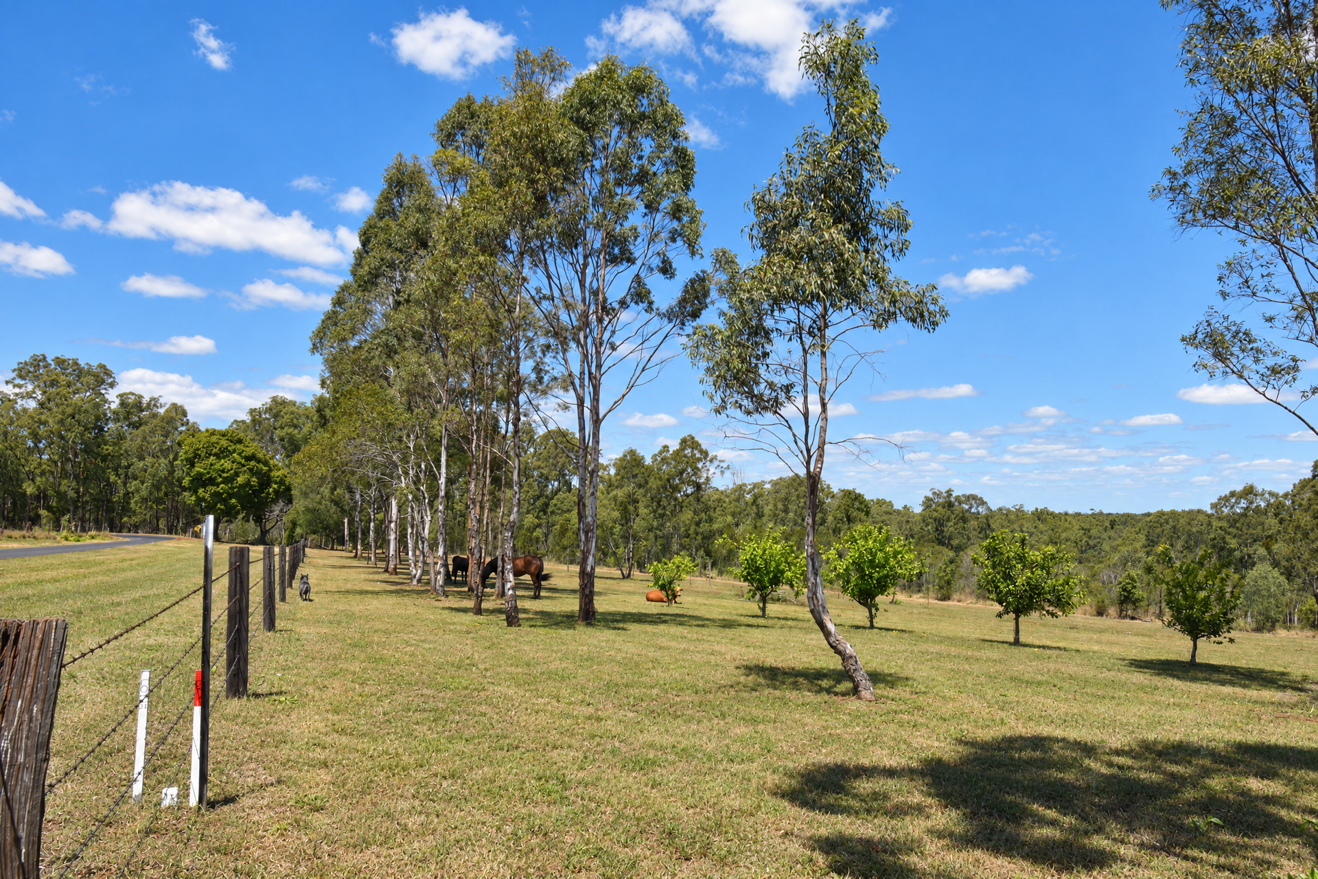 Lot 14, 237 Stocks Road, Apple Tree Creek For Sale by Farmbuy.com - image 8