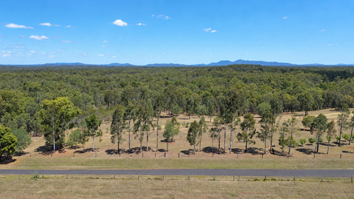 Farm For Sale - QLD - Apple Tree Creek - 4660 - Peaceful Mountain Views 