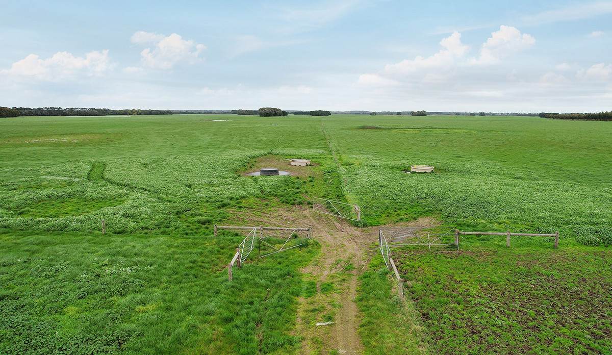 Lot 2 Coyles Road, Terang For Sale by Farmbuy.com - image 9