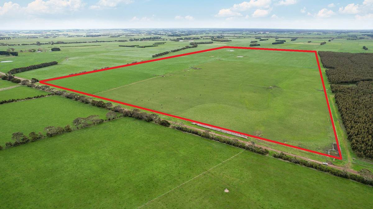 Lot 2 Coyles Road, Terang For Sale by Farmbuy.com - image 2