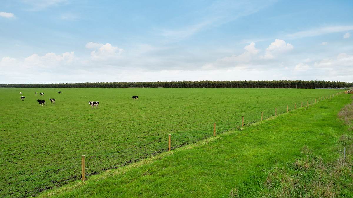 Lot 2 Coyles Road, Terang For Sale by Farmbuy.com - image 13