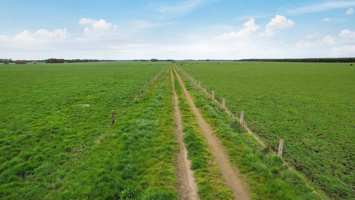 Lot 2 Coyles Road, Terang For Sale by Farmbuy.com - image 12