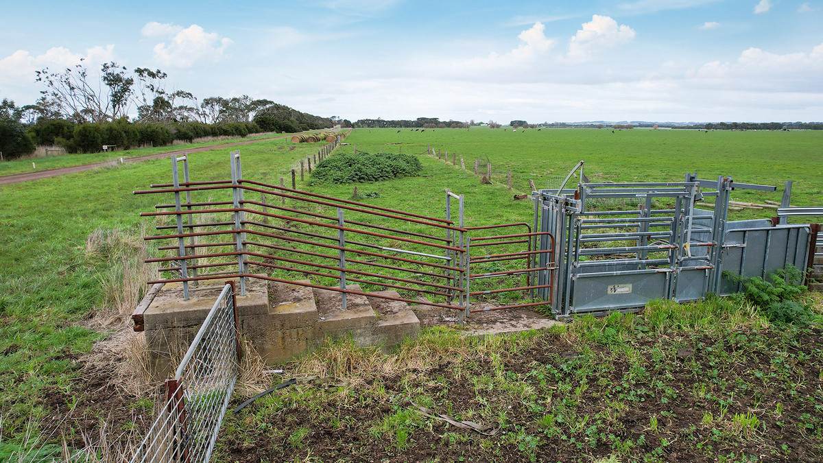 Lot 2 Coyles Road, Terang For Sale by Farmbuy.com - image 3