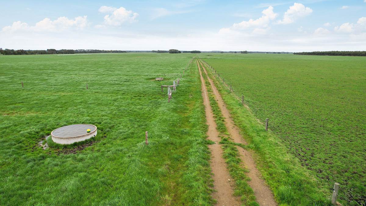 Lot 2 Coyles Road, Terang For Sale by Farmbuy.com - image 1