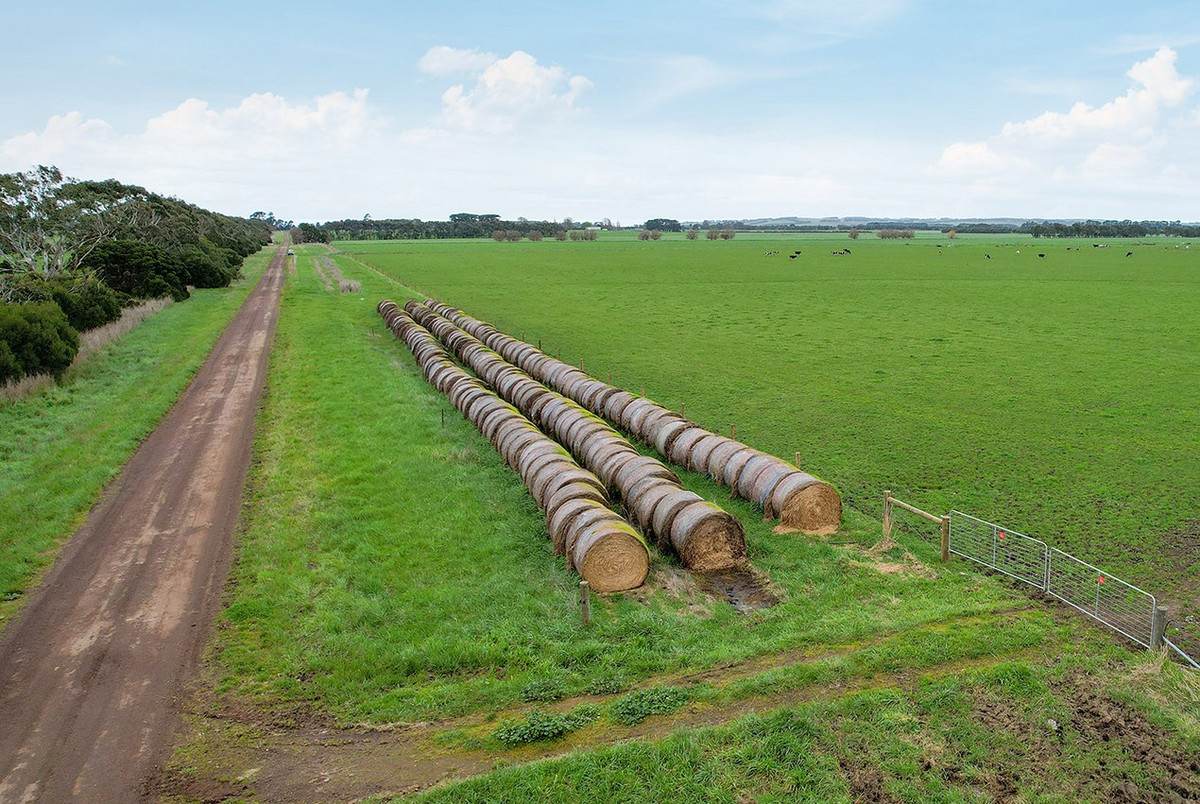 Lot 2 Coyles Road, Terang For Sale by Farmbuy.com - image 14