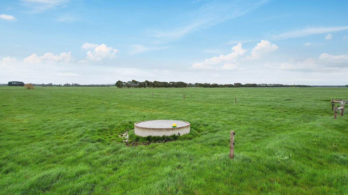 Lot 2 Coyles Road, Terang For Sale by Farmbuy.com - image 5