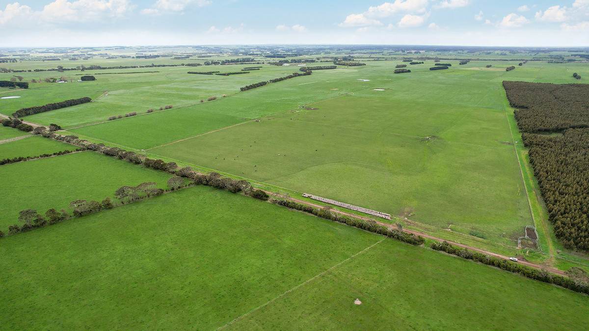 Lot 2 Coyles Road, Terang For Sale by Farmbuy.com - image 6
