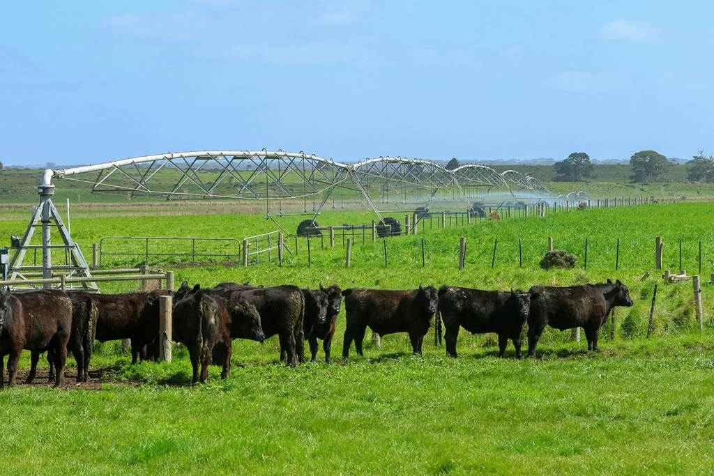 'Moloneys' 1210 Woolsthorpe-Heywood Road, Hawkesdale VIC 3287