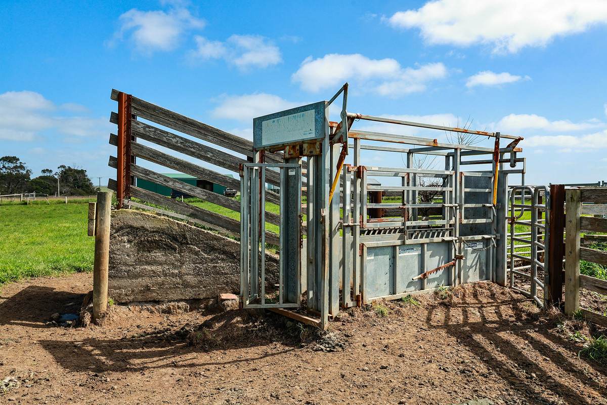 'Moloneys' 1210 Woolsthorpe-Heywood Road, Hawkesdale For Sale by Farmbuy.com - image 18